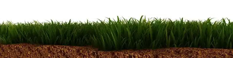grass soil img